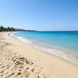 Foto de la meta: una playa